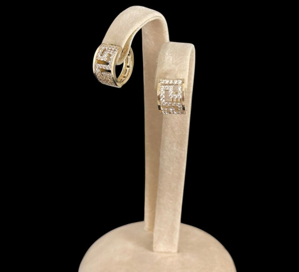 Elegant earrings