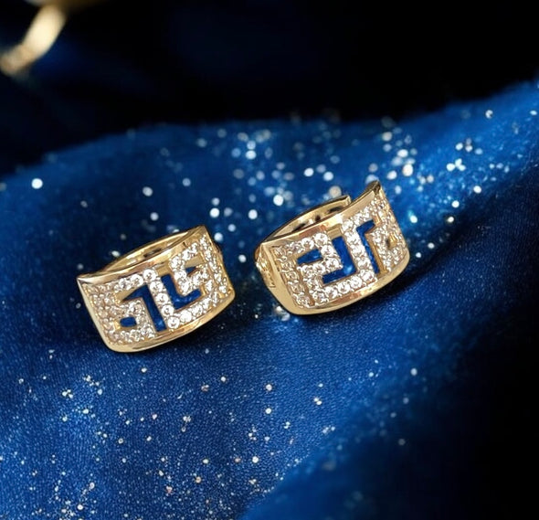 Elegant earrings
