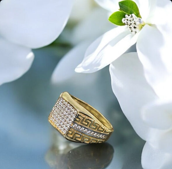 Maddox ring