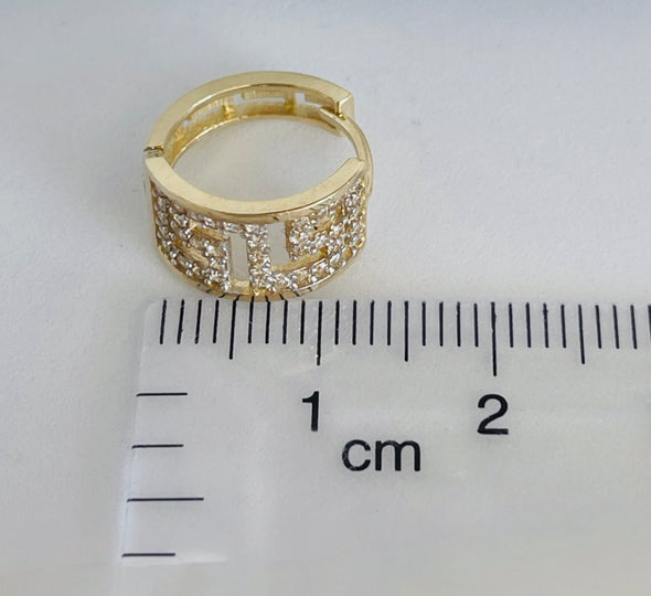 Elegant earrings