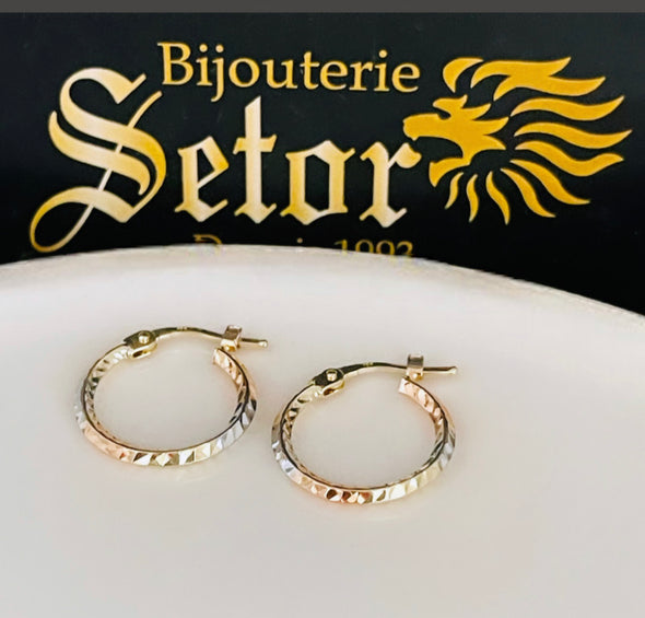 Boucles d'oreilles Mila E310