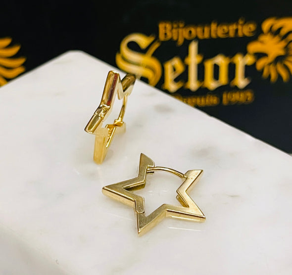 Star earrings