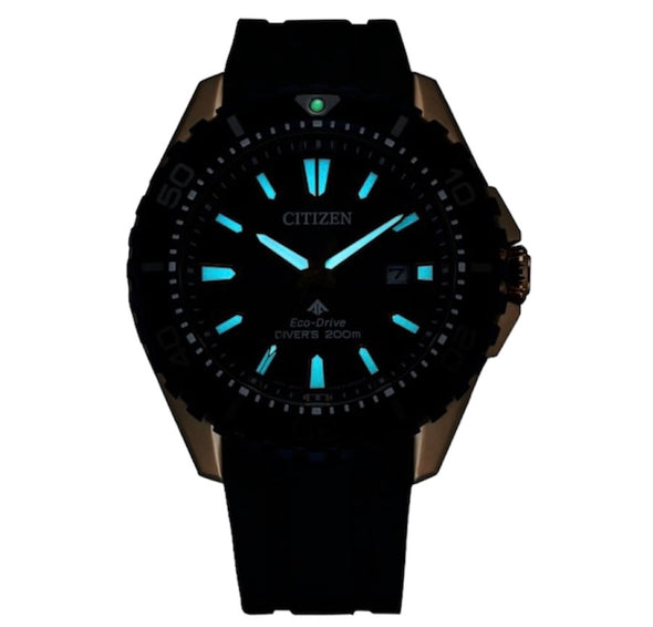 Promaster Dive BN0196-01L