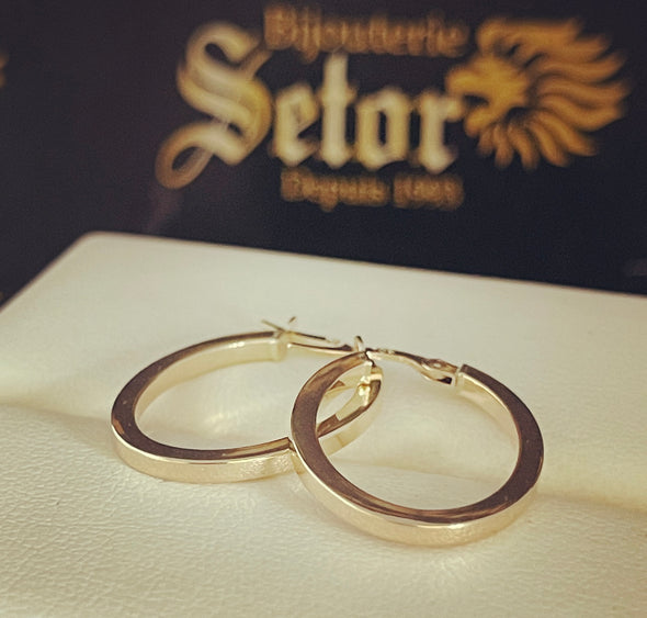 Leni Oval earrings E212 - Bijouterie Setor