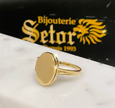 Locket ring WR185 - Bijouterie Setor